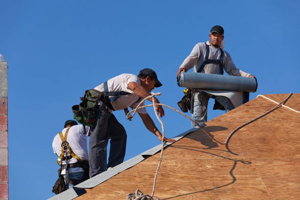 Best Residential Roofing Contractor  in Loogootee, IN