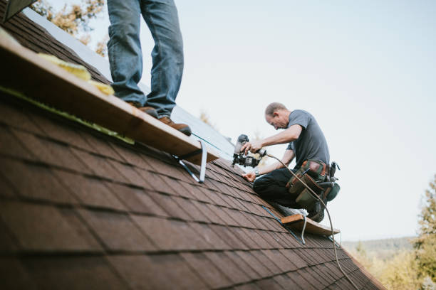 Best Flat Roof Repair Services  in Loogootee, IN